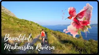 SEPTEMBER VLOG | Wood Moon, First Moon of Autumn, Angel Month | Makarska Riviera, Adriatic Paradise