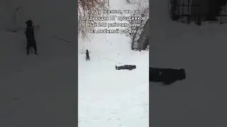 Принятие неизбежного 