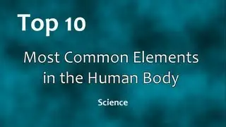 Top 10: Most Common Elements in the Human Body