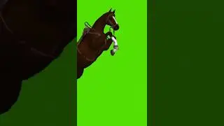 Animated characters running horse.