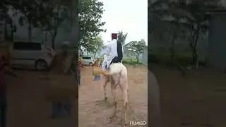 Subhaa nalla