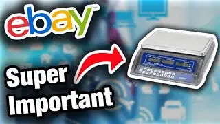 5 Essential Things Every Ebay Seller Needs For Their Store