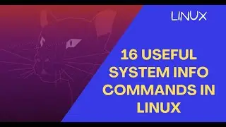 16 System Information Commands in Linux