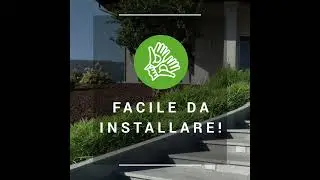 Video social consolido