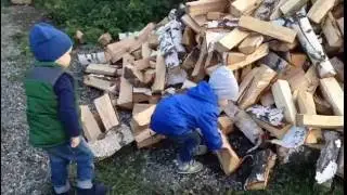 Маленькие помощники Мироша и Платоша.