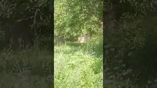 Valašské Meziříčí opuštěne auto