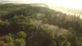Dimman lättar över skogen