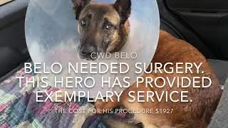 Mission K9 Rescue: Retired K9 Medical Fund