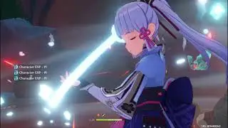 Ayaka (level 20) Elemental Burst damage test