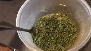 What If Noodles Review: Multi-Pack Unboxing & Prep