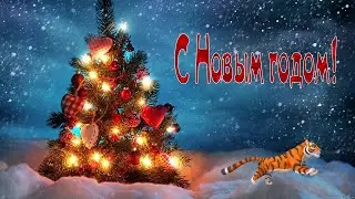 С Новым годом поздравляю!Желаю в Новый Год жить без горя и забот!