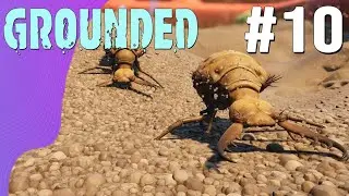 Grounded: Coletando Molares de Leite e Concluindo o Set de Formiga Leão