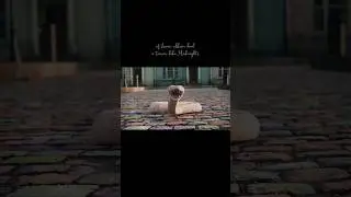 If Lover Album had a Teaser Like Midnights