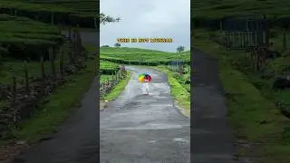 Why you should visit Kerala now 😍