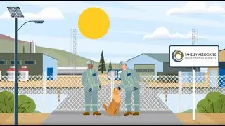 2D explainer video | Tansley Associates