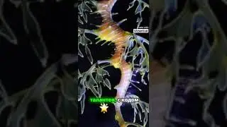 Программирование души и освобождение от чужой сущности
