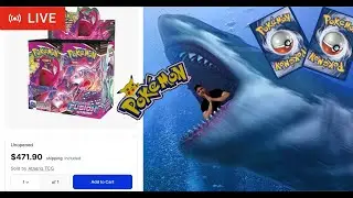 Watch As PK Slowly Descends Into Madness Talking About Pokemon Investing