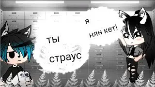 Меме //я летаю как нян кет!// Гача клуб