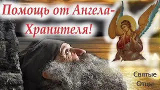 Когда нам надо быстро найти верное решение, а мысли раздваиваются...Наши ангелы-хранители.