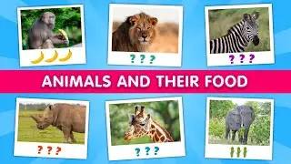 The Hungry Animals: Animals and their Food