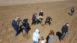 Высадка деревьев в Евпатории 24.03.2022