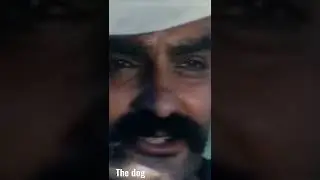 A Dog Called Vengeance