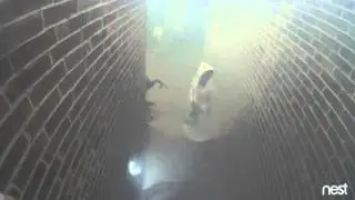 My New Clip