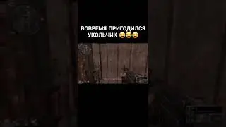 Вовремя укол понадобился #shorts #shortvideo #сталкерзп #приколызп #псевдопес #сталкер #stalker