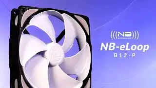Blacknoise Noiseblocker NB-eLoop B12-P Review - The Original WTF Fan.