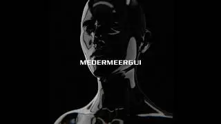 LARK - MEDERMEERGUI