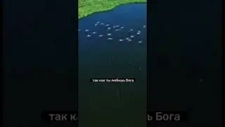 Единственная семья #жизнь #сознание #любовь