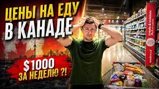 СКОЛЬКО СТОИТ НЕДЕЛЯ ЕДЫ В КАНАДЕ? ЦЕНЫ ШОКИРУЮТ!