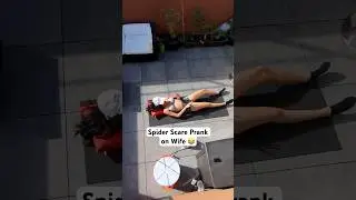 Full Video👆She Had NO IDEA About the Spider 😂 