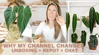 Houseplant Unboxing | Repot + Chat