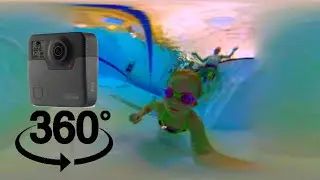 Swim With Me! 360 GoPro Fusion Underwater