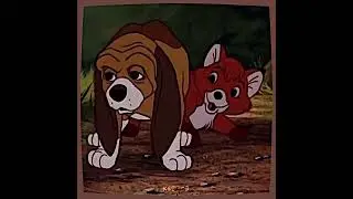best friends. | #like #fyp #foxandthehound