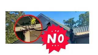 They Were EVERYWHERE! | LARGE Family Homesteading