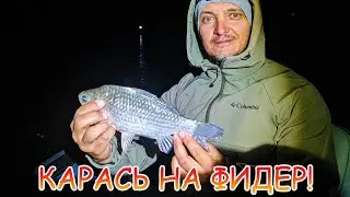 Карась на фидер осенью! Ночная рыбалка на Дону!