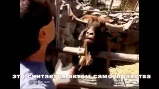 Типичный спор с охранником на фейс-контроле