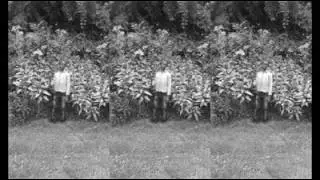 (Jarma) [clip]  |nouden