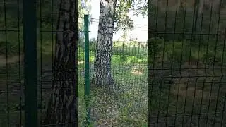 3D