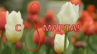 Открытка. С 8 Марта! Тебе, самой лучшей! Поздравление