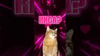 24 ОКТЯБРЯ 🤍