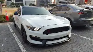Ford Mustang Stage 1