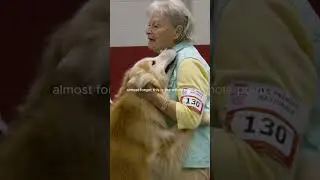 The bond is the whole point