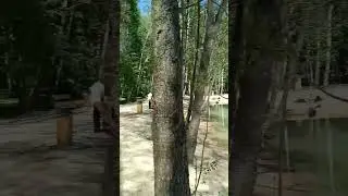 Красивый благоустроенный пруд Макеевка в чаще леса недалеко от ЖК ТОМИЛИНО-ПАРК #томилинопарк #пруд