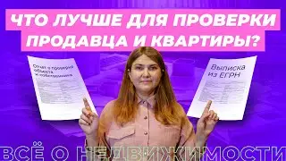 Что лучше: выписка из ЕГРН или отчет по проверке собственника и объекта?