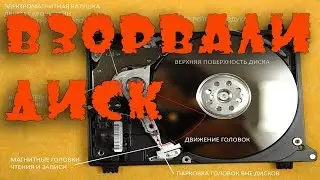 DISK VS A POWERFUL FIRECRACKER
