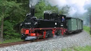 Pressnitztalbahn 1981 and 2011