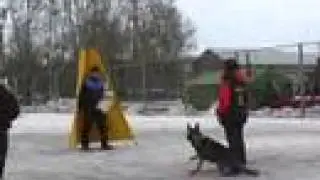 Ян ф. Арользер Хольц - 